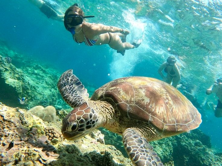Pemandangan laut tropis
